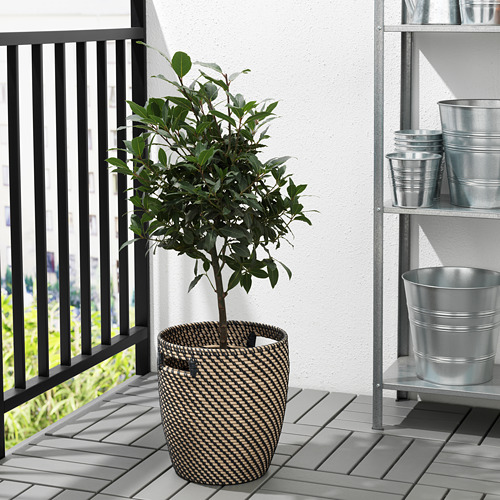 RÅGKORN, plant pot