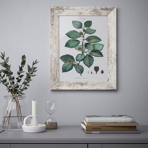 PLOMMONTRÄD, frame
