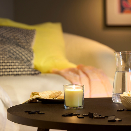 LOTSFÅGEL, scented candle in glass