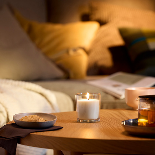 LOTSFÅGEL, scented candle in glass