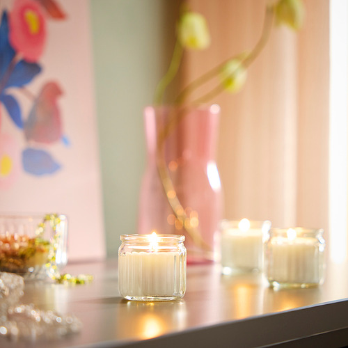 HÖKGÖK, scented candle in glass