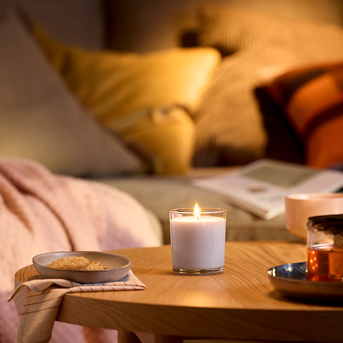 LOTSFÅGEL, scented candle in glass