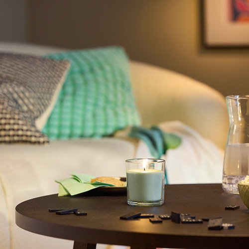 LOTSFÅGEL, scented candle in glass