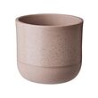BUSKKAPRIFOL plant pot