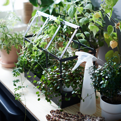 SENAPSKÅL, decoration greenhouse