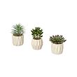FEJKA artificial potted plant, set of 3