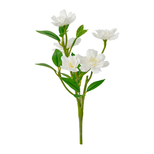 SMYCKA, gerviblóm