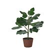 SMÅTÄRNA artificial potted plant