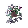 SMÅTÄRNA artificial potted plant