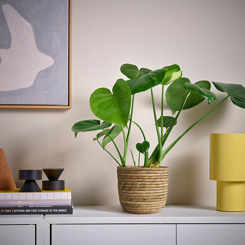 SANDÖDLA, plant pot