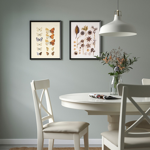 BILD, poster