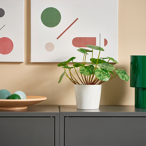 FEJKA, artificial potted plant