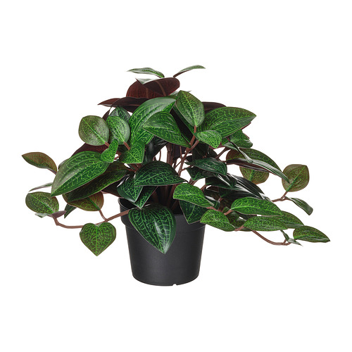 FEJKA, artificial potted plant