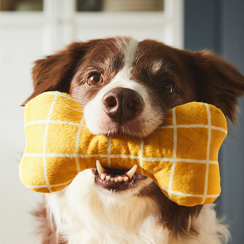 UTSÅDD, soft toy for dog