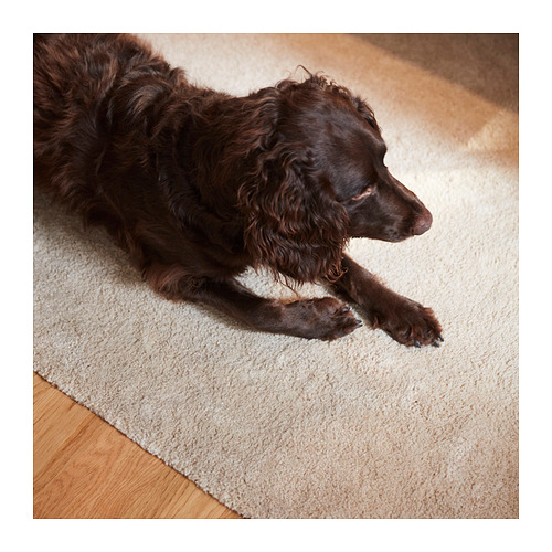 STOENSE, motta, lágt flos