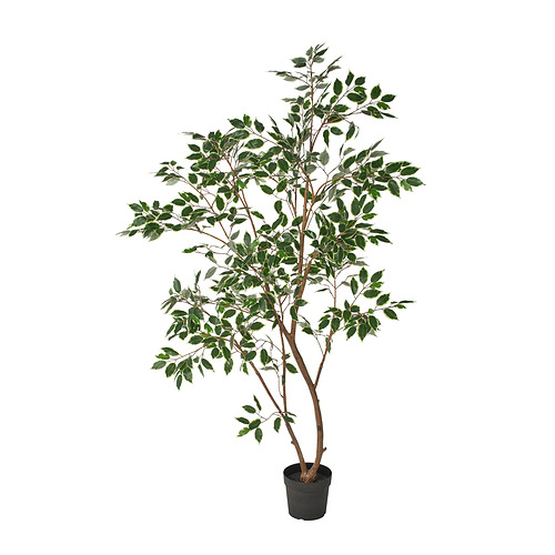 FEJKA, gervipottablóm