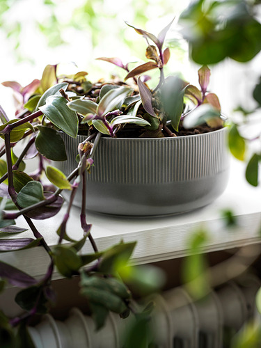 GRADVIS, planter