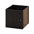KALLAX insert with door