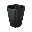 BJÖRNBAMBU