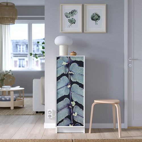 BILLY/HÖGBO, bookcase combination w glass doors