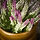 FEJKA, artificial potted plant