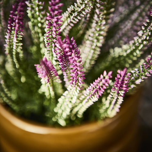 FEJKA artificial potted plant