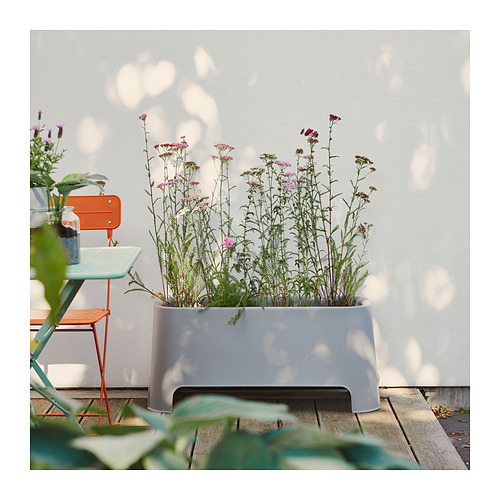 ASPAREN, planter
