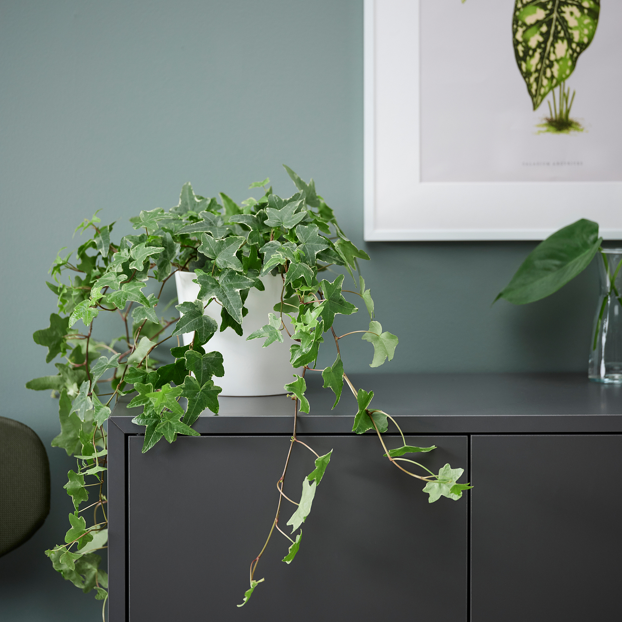 IKEA sland - Shop for Furniture, Lighting, Home Accessories & More