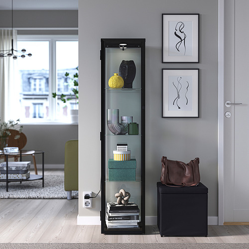 BLÅLIDEN/STRIMSÄV, glass-door cabinet with lighting