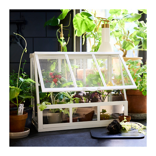 ÅKERBÄR, greenhouse