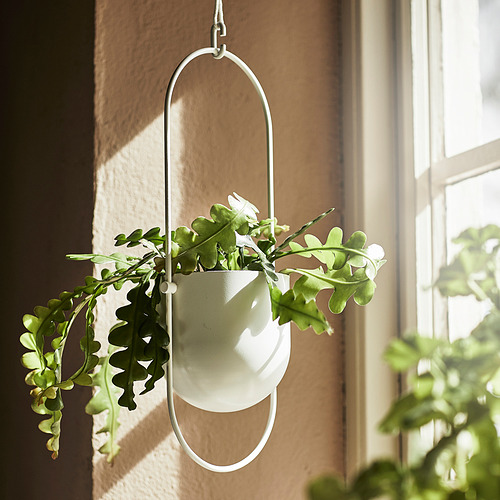 CHILISTRÅN, hanging planter