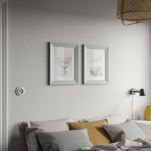 PLOMMONTRÄD, frame