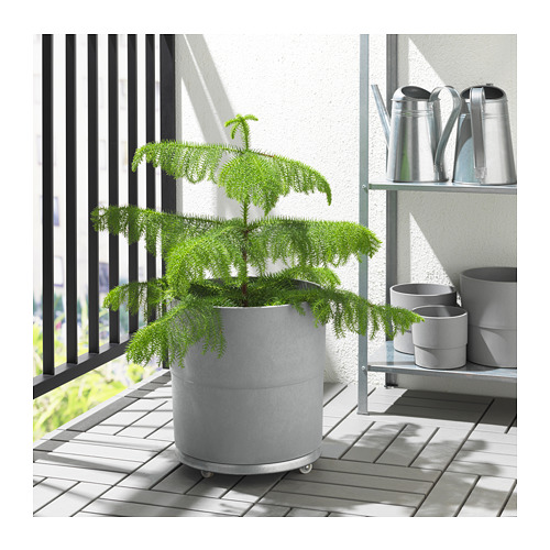NYPON, plant pot