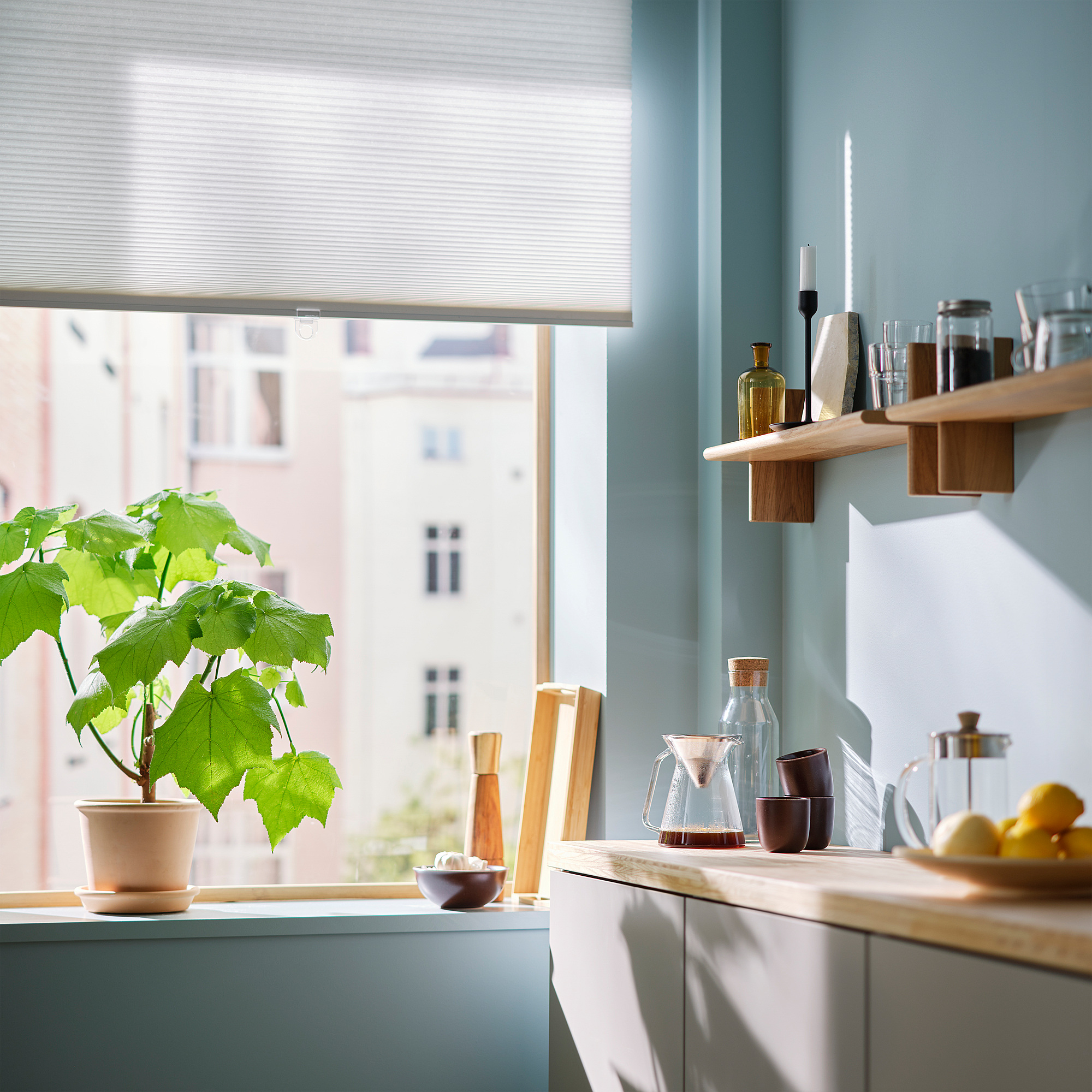 HOPPVALS cellular blind
