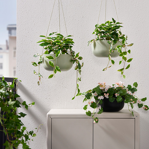 ÄPPELROS, hanging planter
