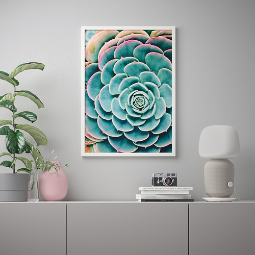 BILD, poster