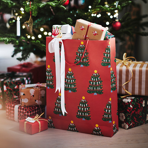 VINTERFINT, gift bag