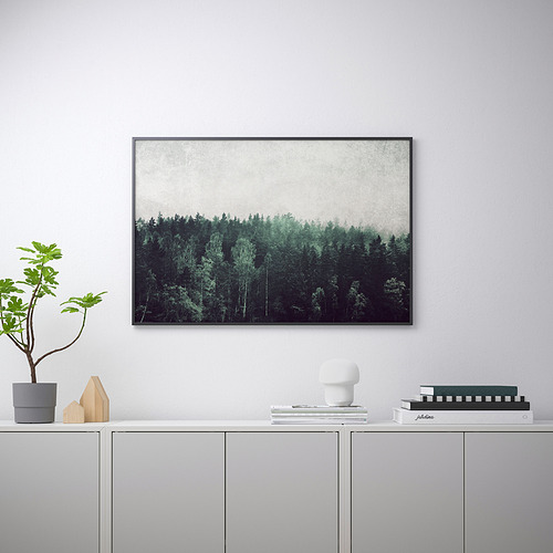 BILD, poster