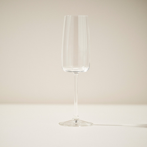 DYRGRIP kampavínsglas