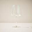 DYRGRIP red wine glass