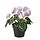 FEJKA, artificial potted plant