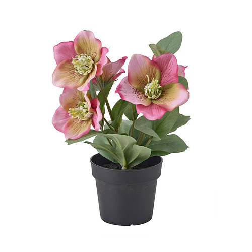 FEJKA, artificial potted plant