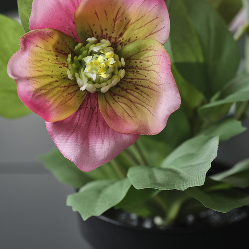 FEJKA, artificial potted plant