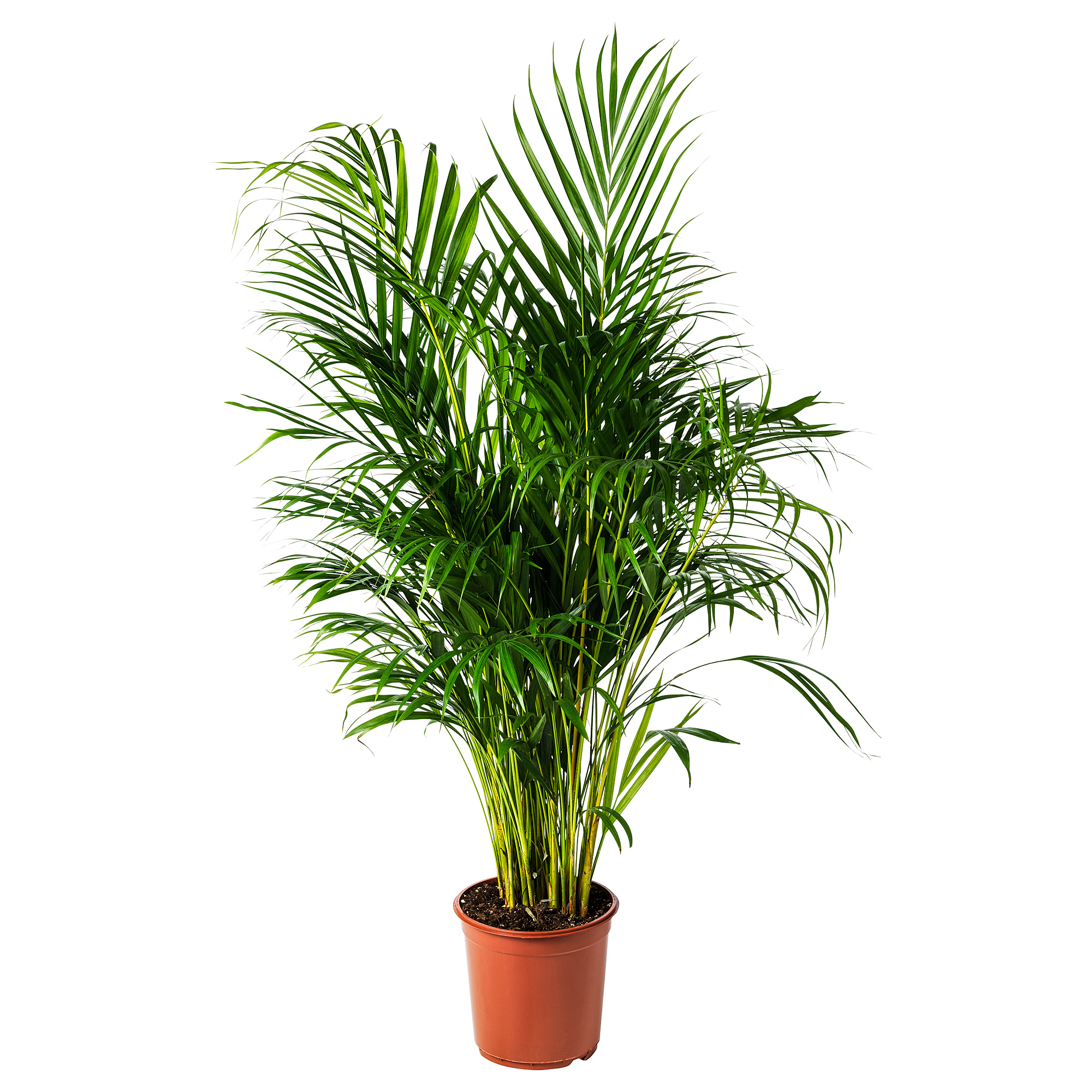 IKEA sland - Shop for Furniture, Lighting, Home Accessories & More