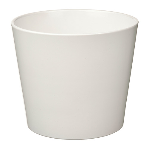 SOJABÖNA, plant pot