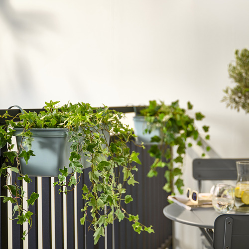 ROSENKÅL, flower box with holder