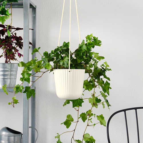 ÄPPELROS, hanging planter