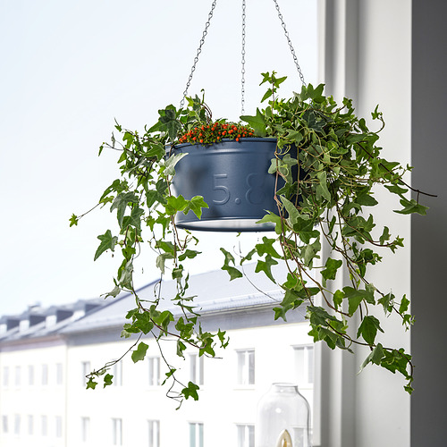 ÅKERBÄR, hanging planter