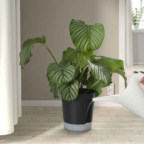 VÅRDTRÄD, blómapottur, sjálfvökvandi