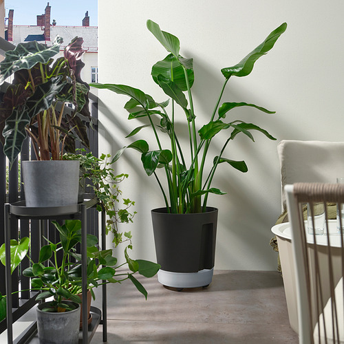 VÅRDTRÄD, blómapottur, sjálfvökvandi